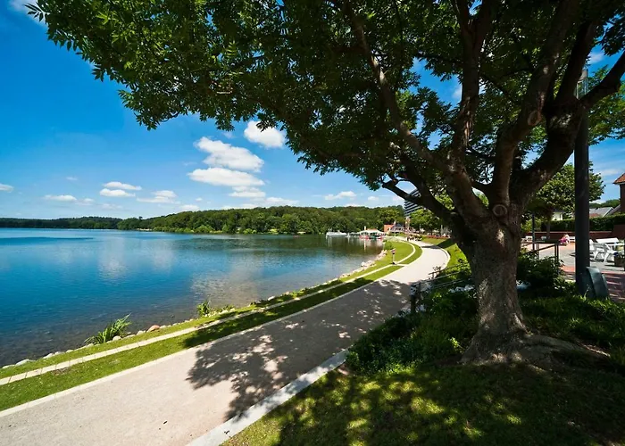 Appartamento Mal Steinbock _ Anni