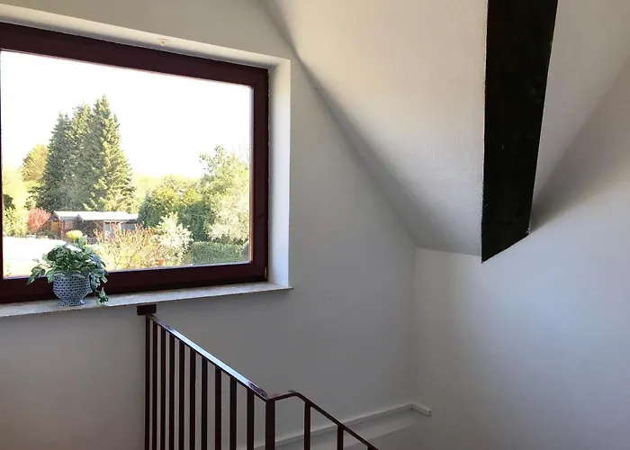 Mal Steinbock _ Anni *